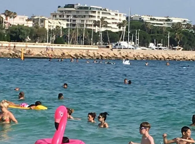 Daire Croisette View Lux Flat Cannes